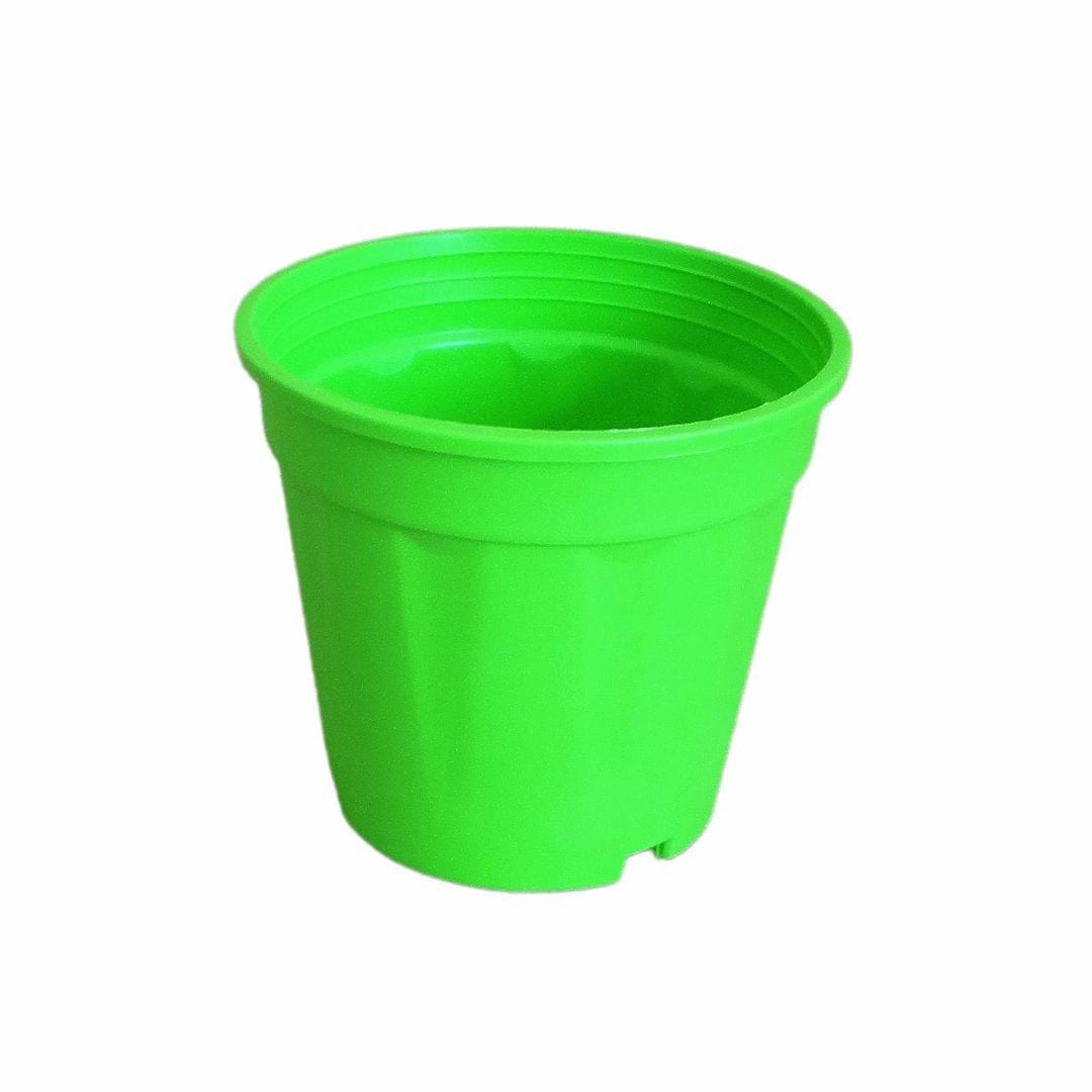 Plastic Grower Pot, Dia-6 Inch