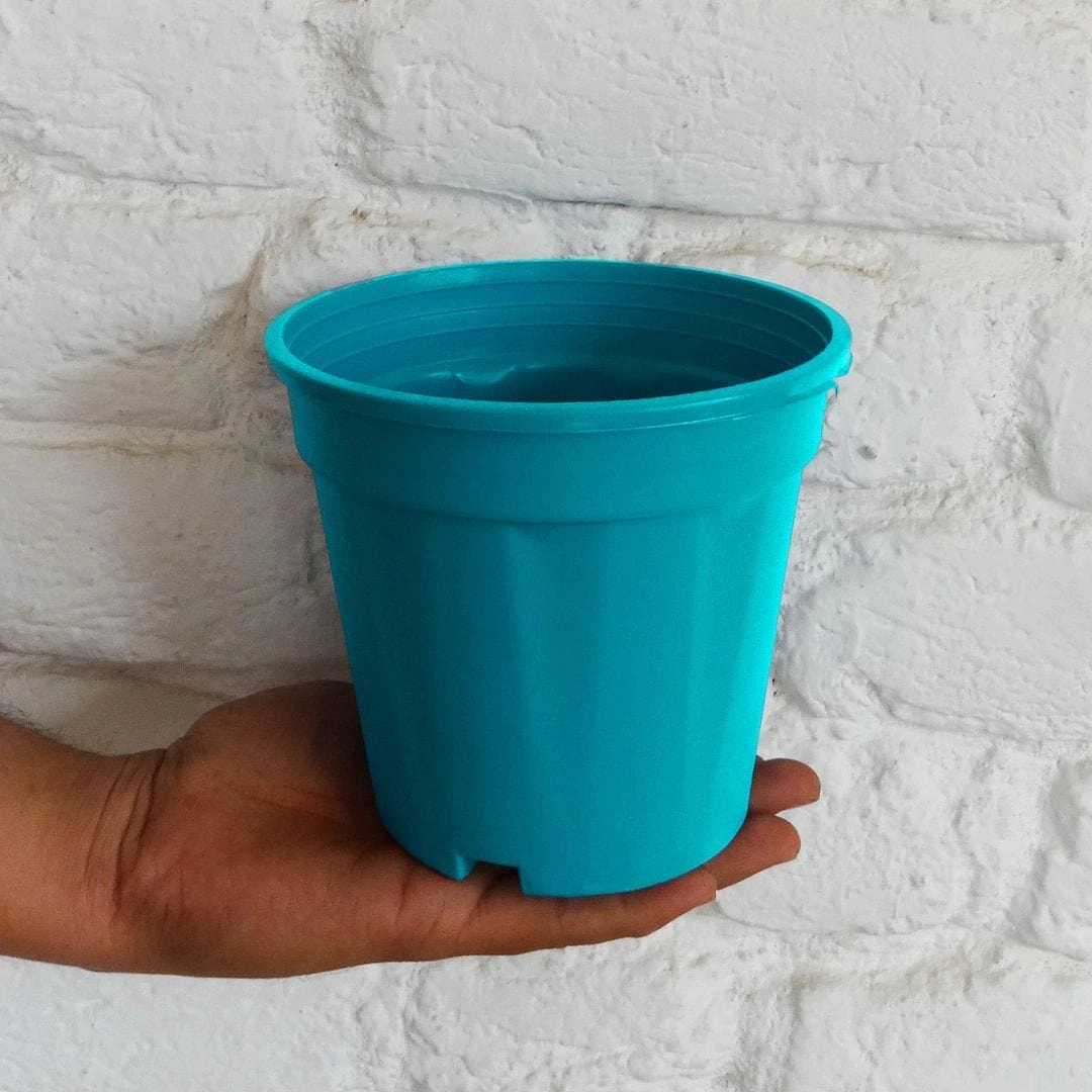 Plastic Grower Pot, Dia-6 Inch
