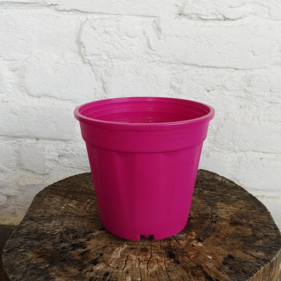Plastic Grower Pot, Dia-6 Inch