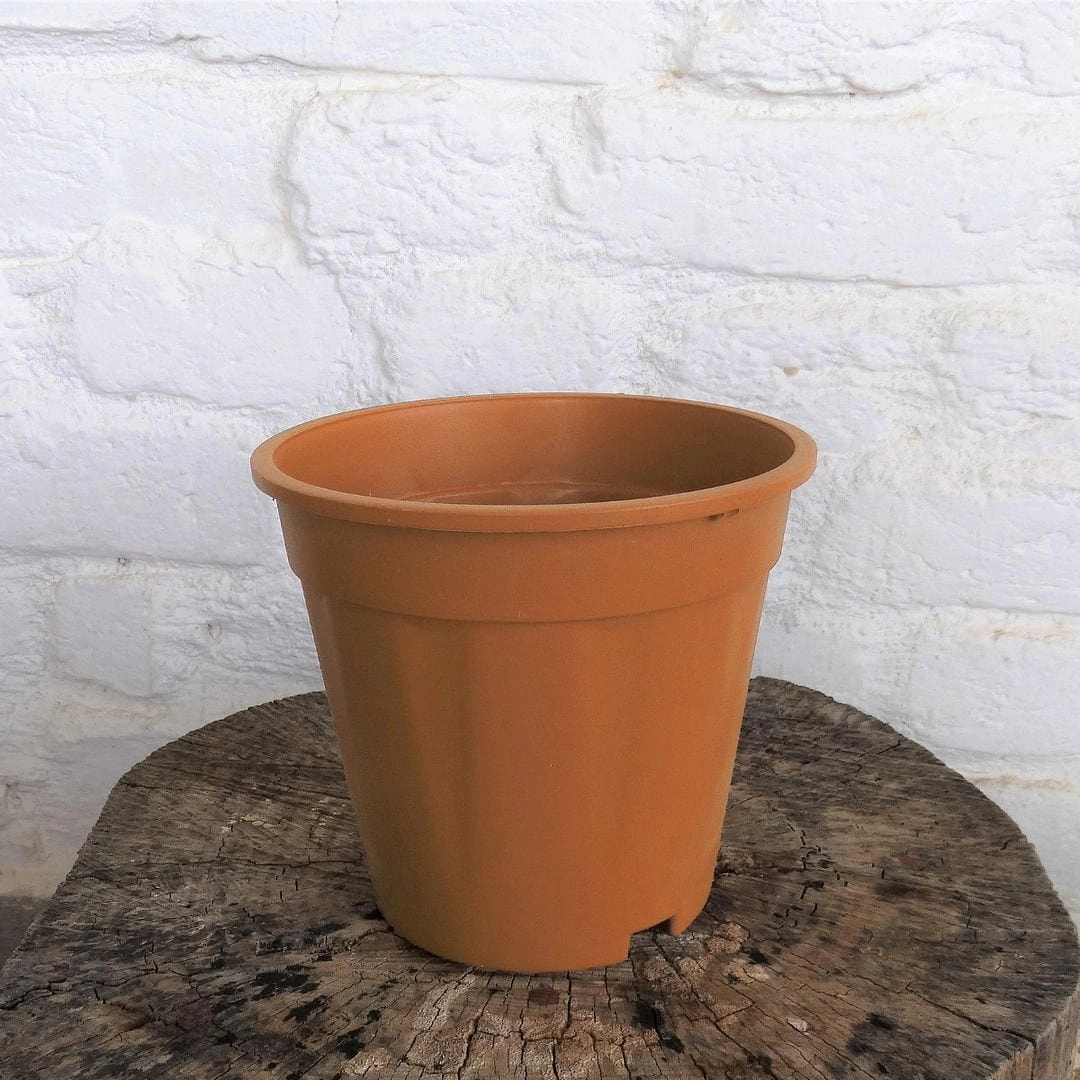 Plastic Grower Pot, Dia-6 Inch
