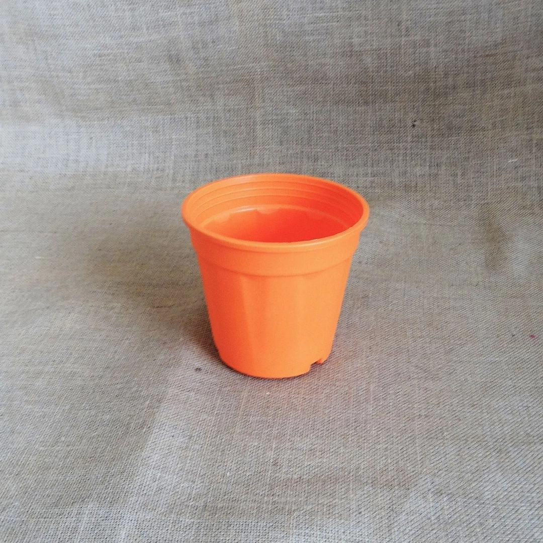 Plastic Grower Pot, Dia-6 Inch