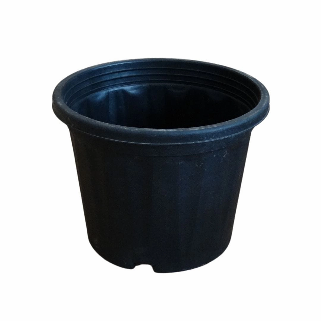 Plastic Grower Pot, Dia-7 Inch