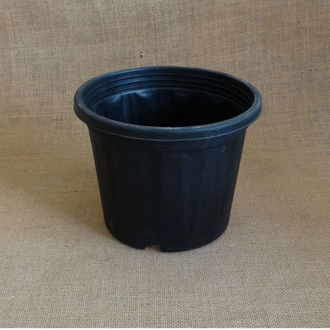 Plastic Grower Pot, Dia-7 Inch