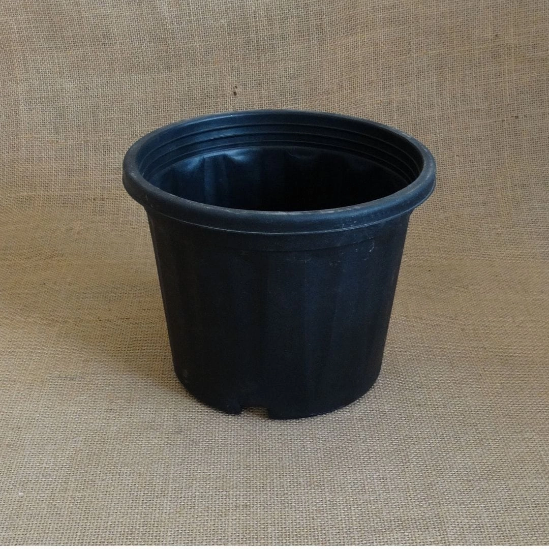 Plastic Grower Pot, Dia-7 Inch