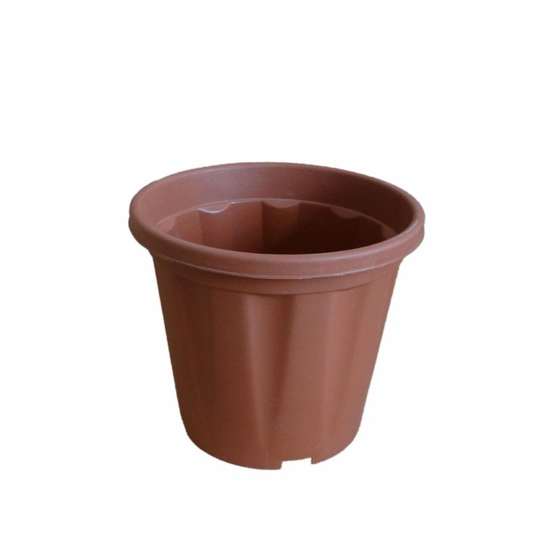 Plastic Grower Pot, Dia-9 Inch