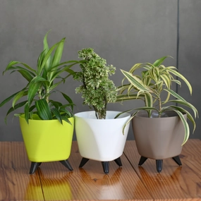 Plastic Lagos Pot/ Planter- Set Of 3 hanging green plant  