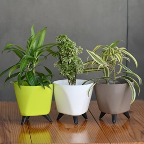 Plastic Lagos Pot/ Planter- Set Of 3 desktop planter  