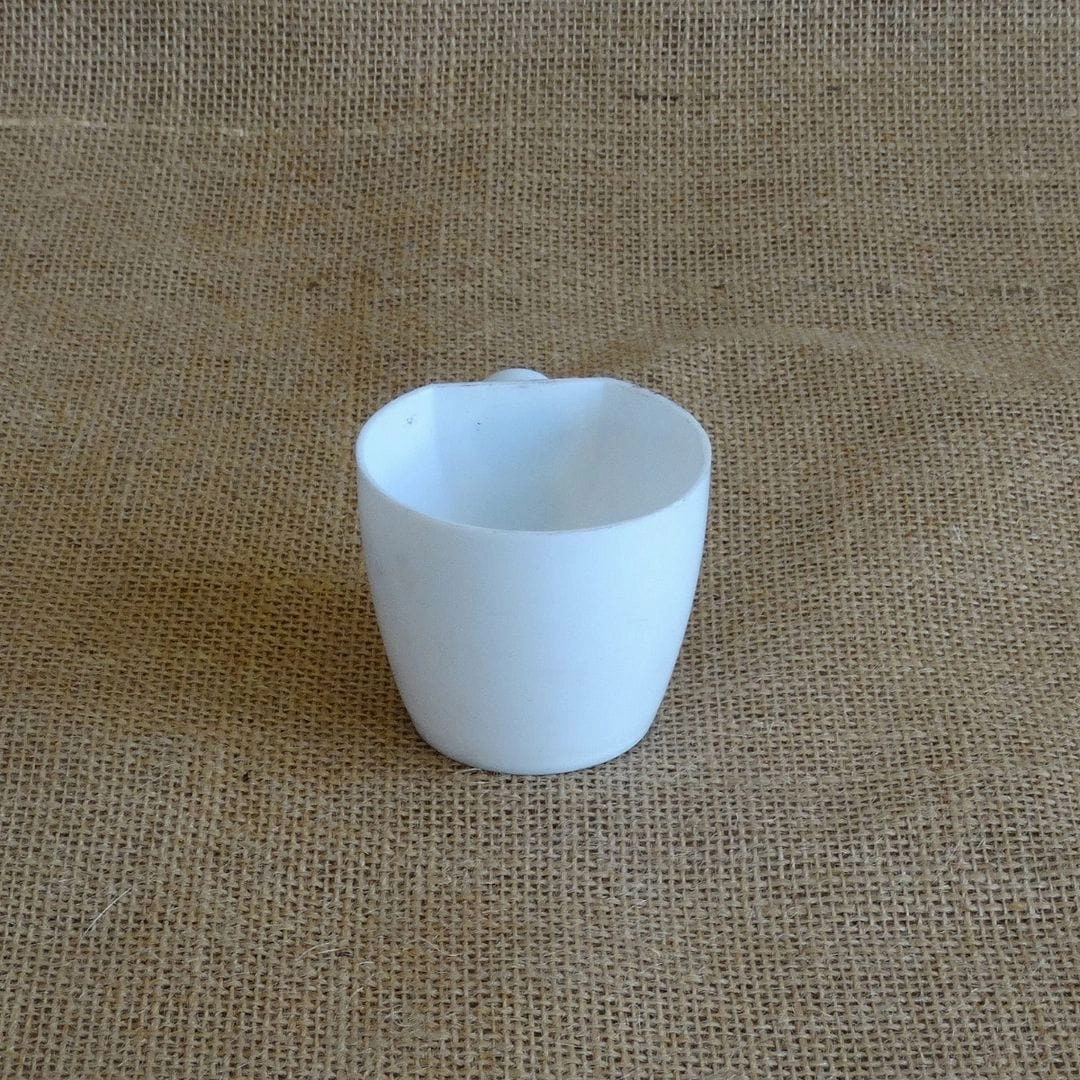 Plastic Magnetic Pot (Diameter 6 cm) cactus succulent plant  