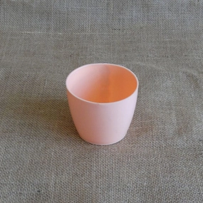 Plastic Magnetic Pot (Diameter 9 cm) cactus succulent plant  