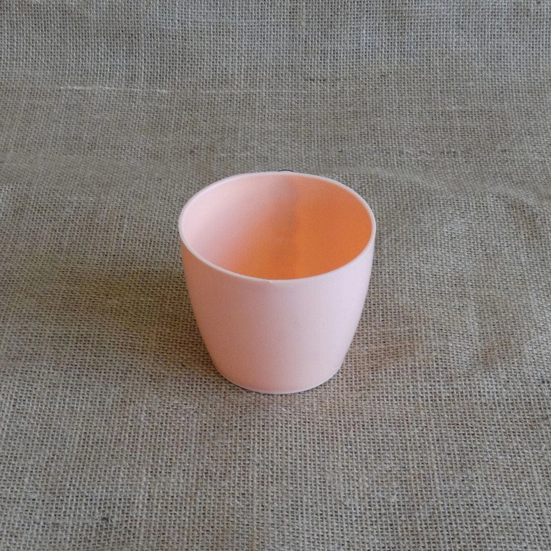 Plastic Magnetic Pot (Diameter 9 cm) cactus succulent plant  
