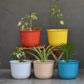 Plastic Omega Pot/Planter- Set of 3 shade perennial  