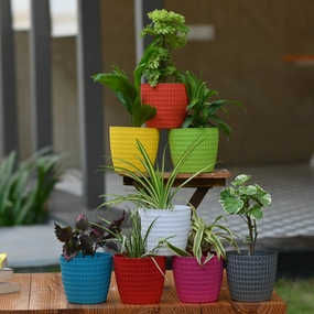 Plastic oslo 5.5' Designer Pot/ Planter- Set of 5 hanging green plant  