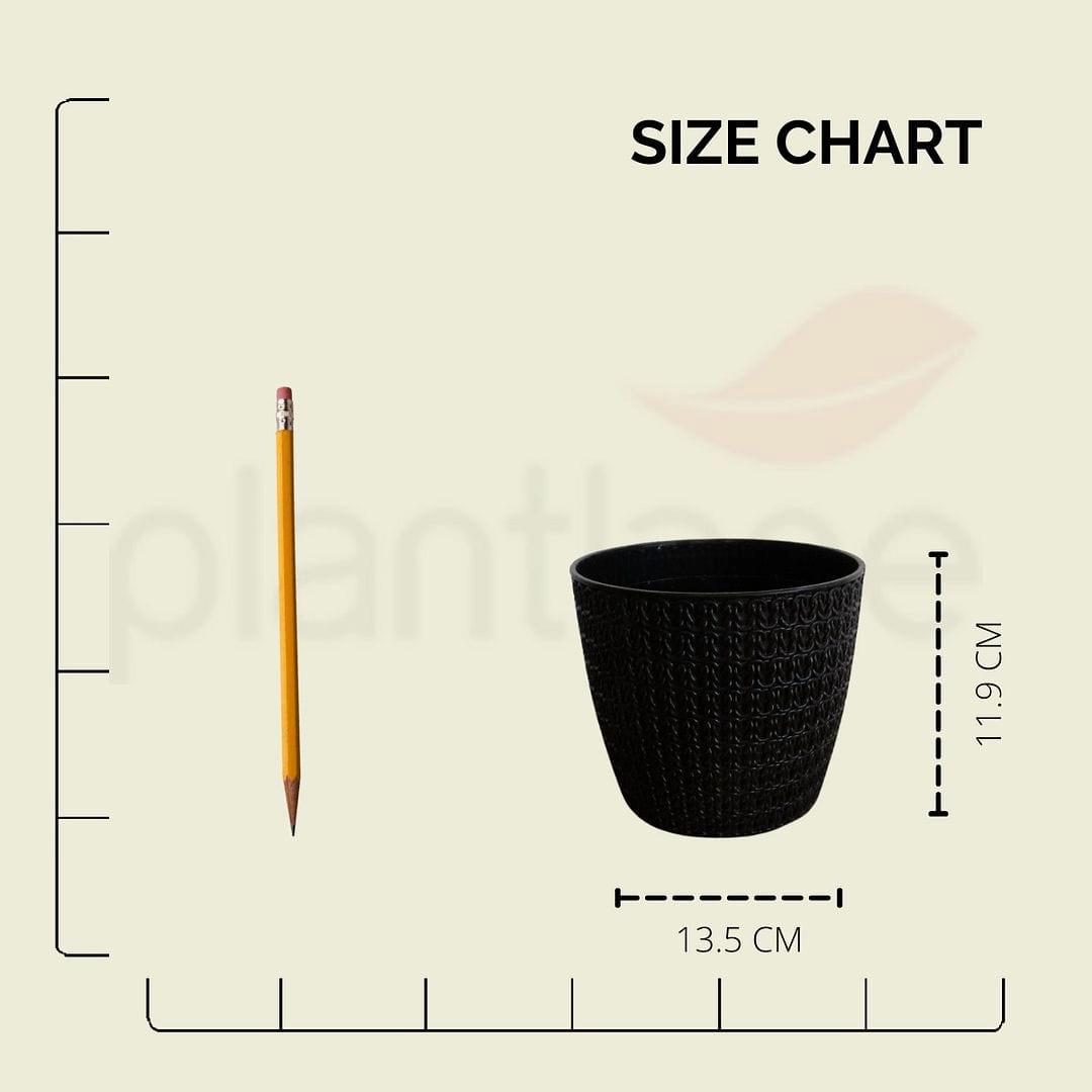 Plastic Oslo Pot,Dia-5 Inch