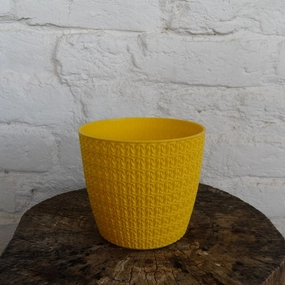 Plastic Oslo Pot,Dia-5 Inch shade perennial  