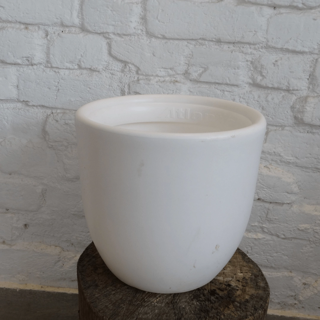 Plastic Oval XL Pot, Dia 11.8 Inch