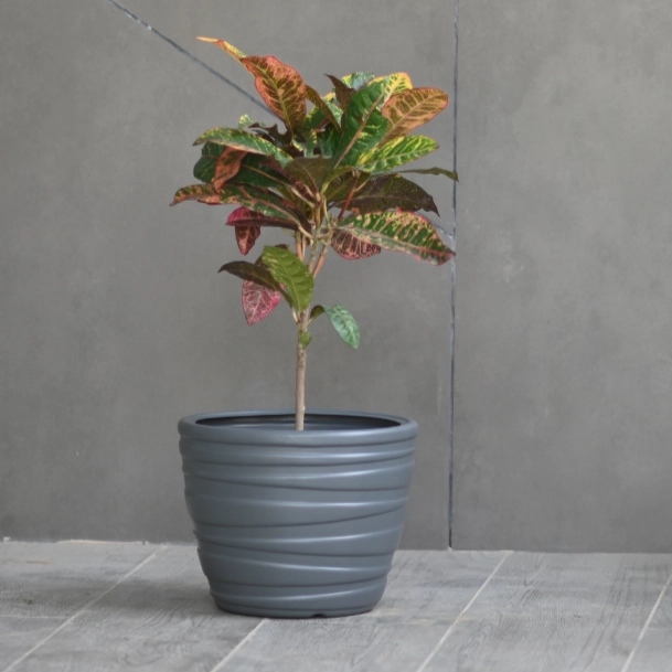 Plastic Phoenix Round Shape 8" Pot/Planter