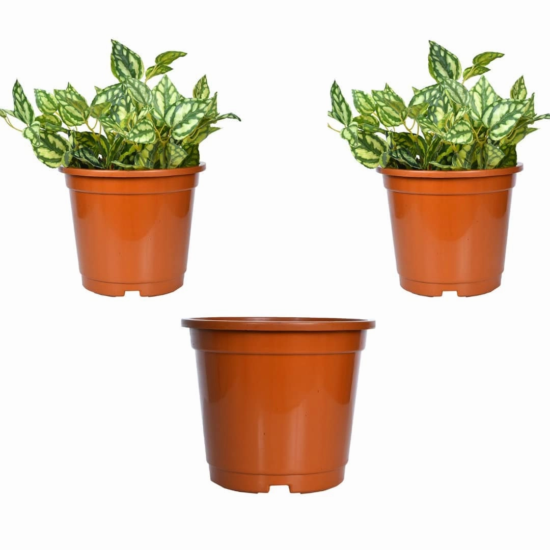 Plastic Planter (Brown, Set Of 3)