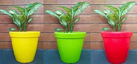 Plastic Planter Round Pots (Set of 3)