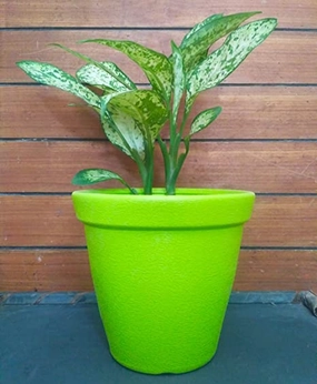 Plastic Planter Round Pots (Set of 3) classic flowerpot  