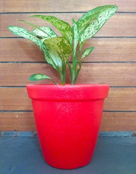Plastic Planter Round Pots (Set of 3)