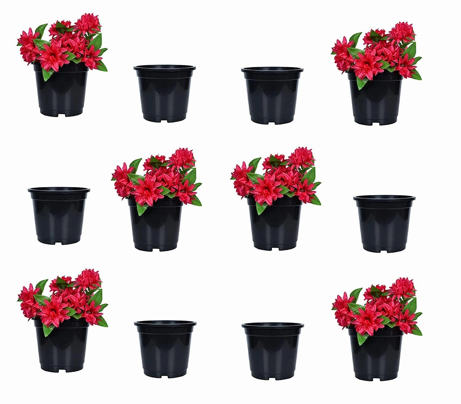 Plastic Planter (Set Of 12) cactus succulent plant  