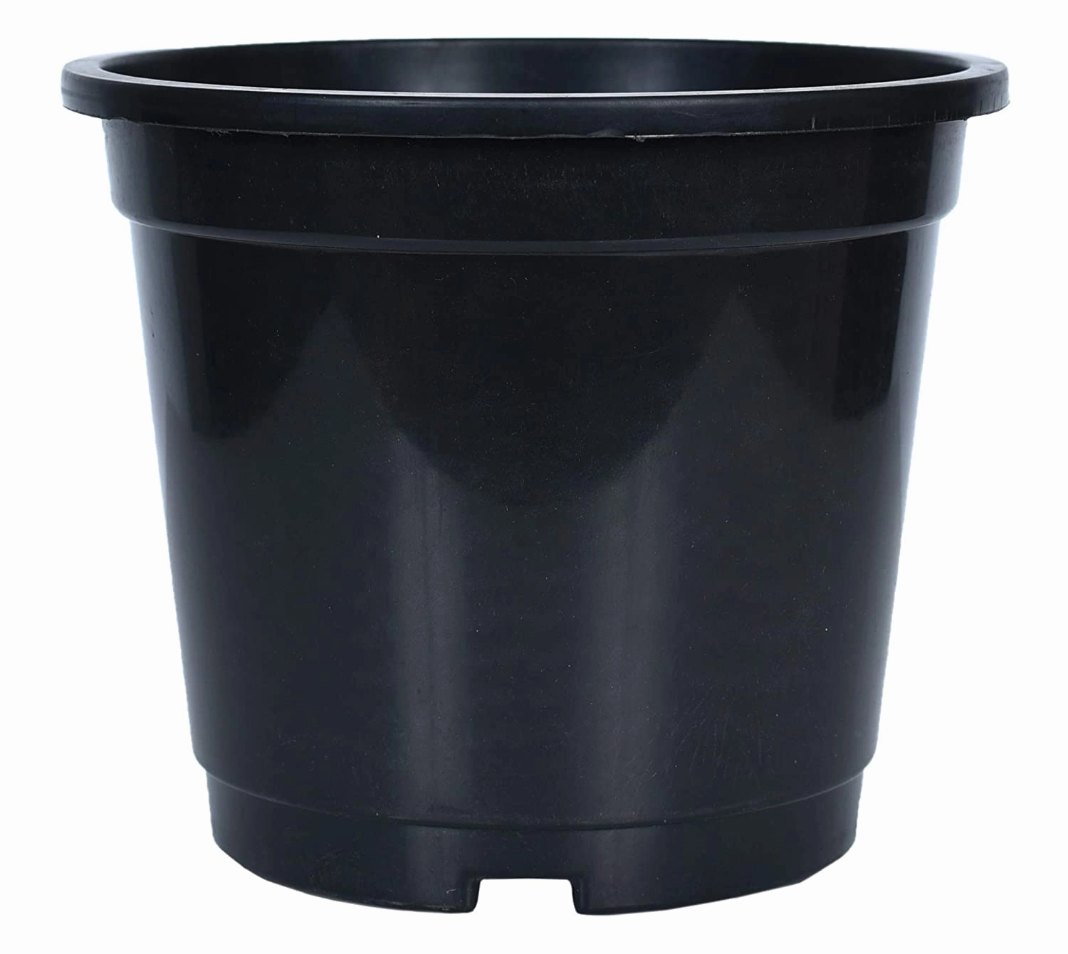 Plastic Planter (Set Of 3) cactus succulent plant  