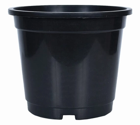 Plastic Planter (Set Of 3) desktop planter  