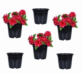 Plastic Planter (Set Of 6) ceramic planter  