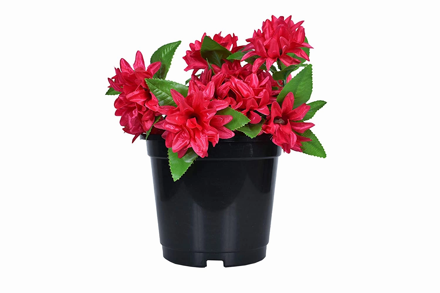 Plastic Planter (Set Of 6)
