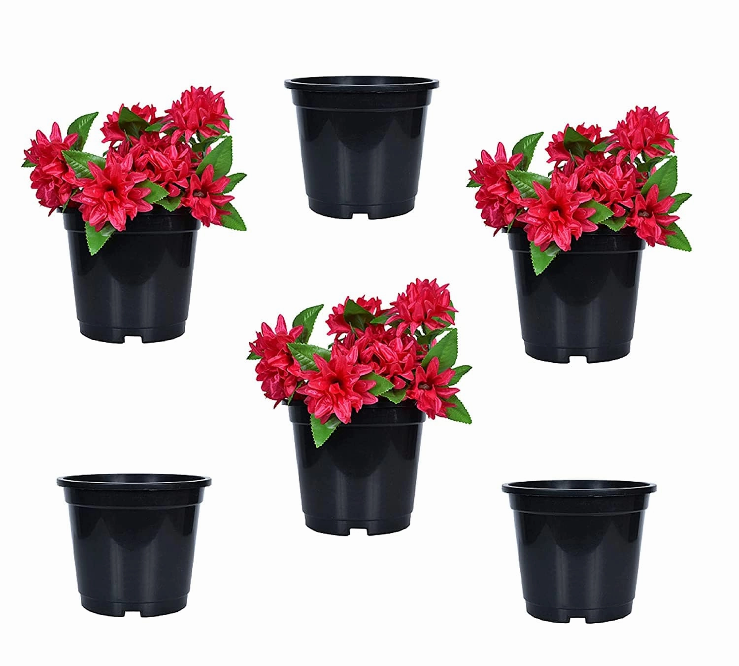 Plastic Planter (Set Of 6) desktop planter  