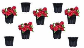 Plastic Planter (Set Of 9) shade perennial  