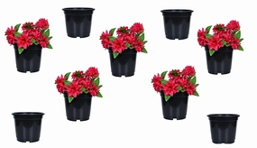 Plastic Planter (Set Of 9) ceramic planter  