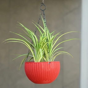 Plastic Rattan Hanging 8.1" Pot With Chain classic flowerpot  