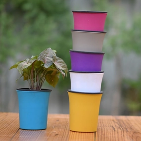 Plastic Self Watering Pot- Set of 3 desktop planter  