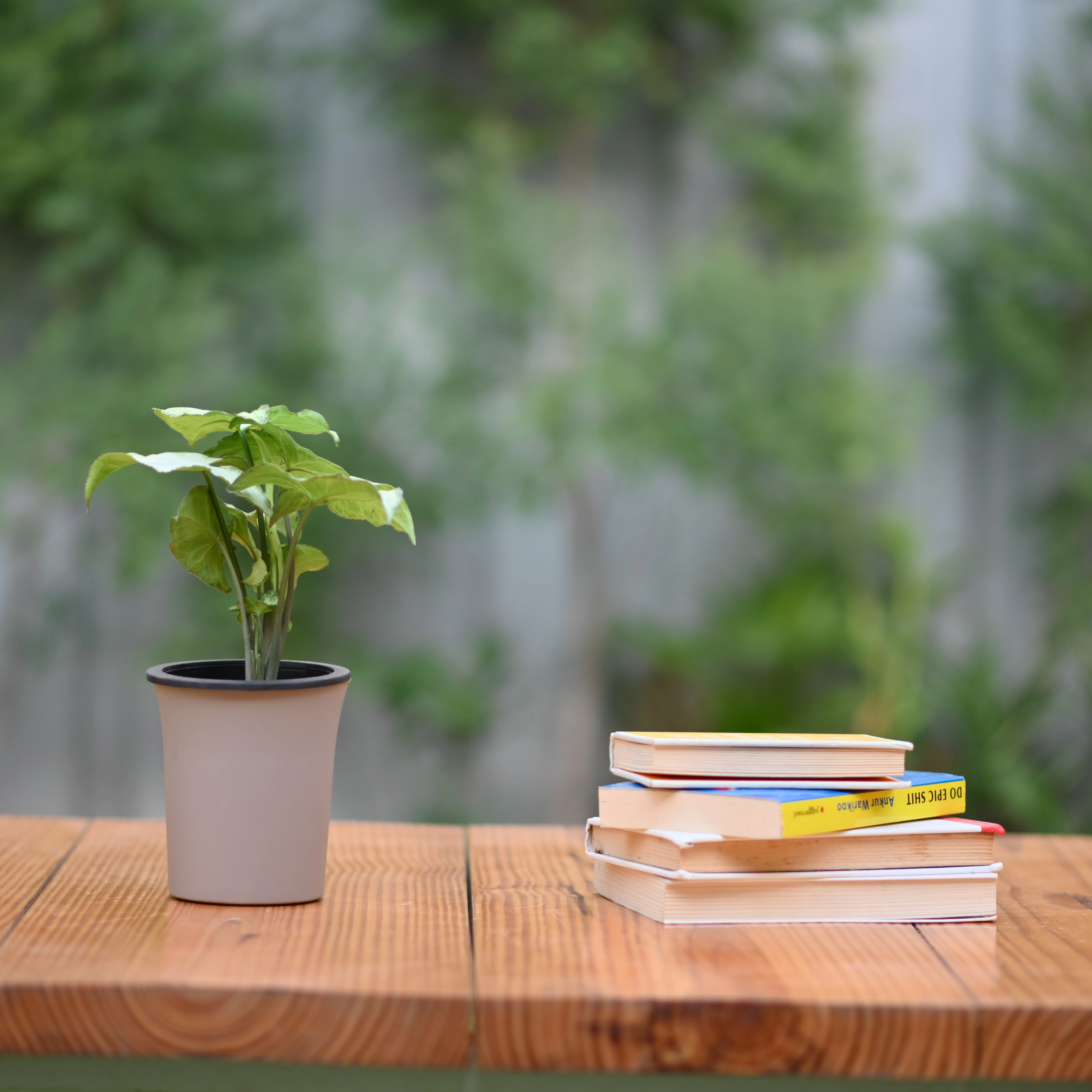 Plastic Self Watering Pot- Set of 3