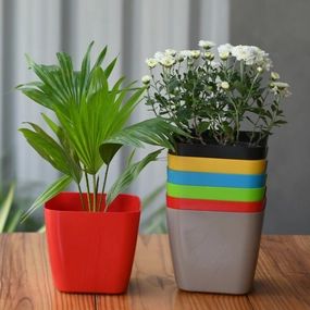 Plastic Siena 14 Pot/ Planter- Set Of 5 shade perennial  