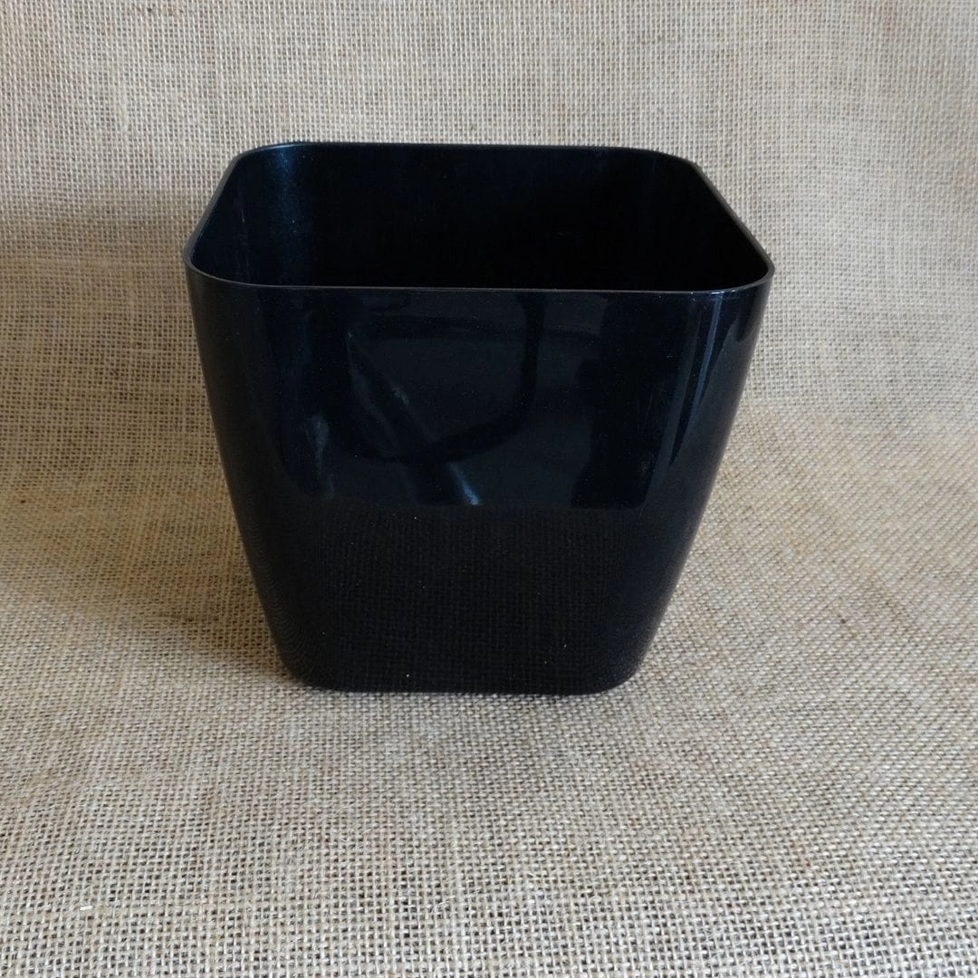 Plastic Siena Pot, Dia-5 Inch