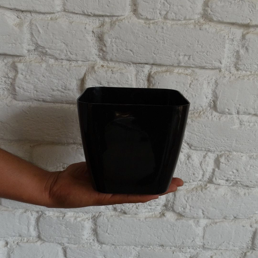Plastic Siena Pot, Dia-5 Inch
