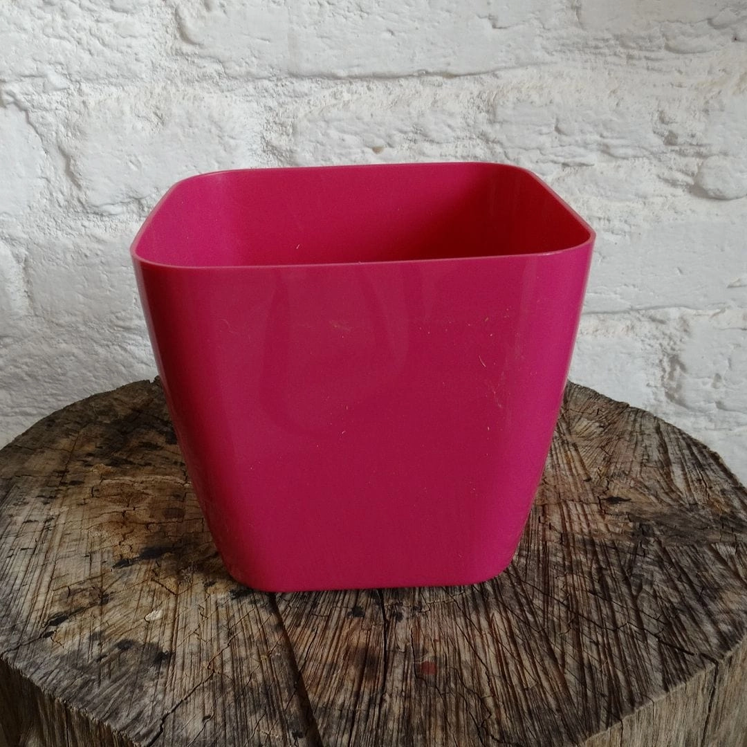 Plastic Siena Pot, Dia-5 Inch