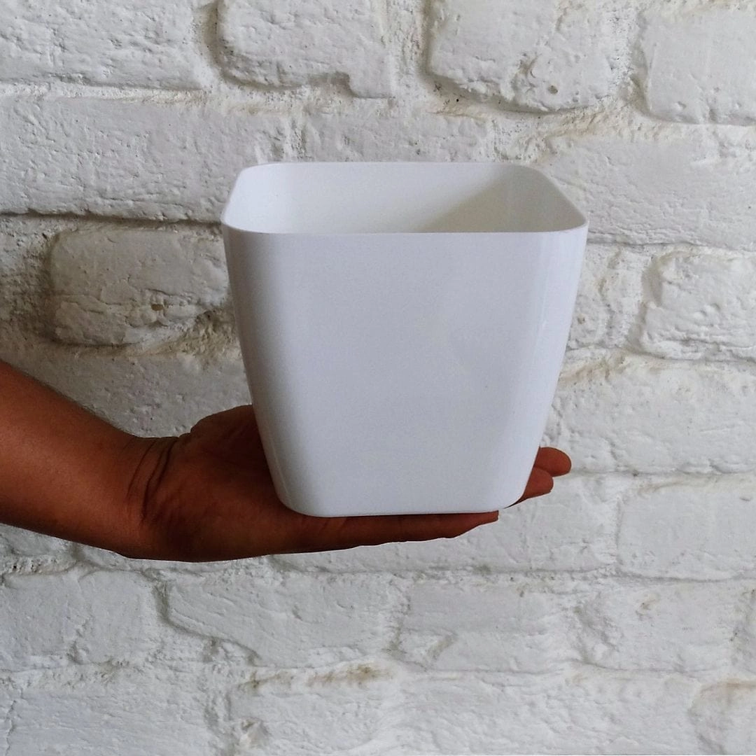Plastic Siena Pot, Dia-5 Inch