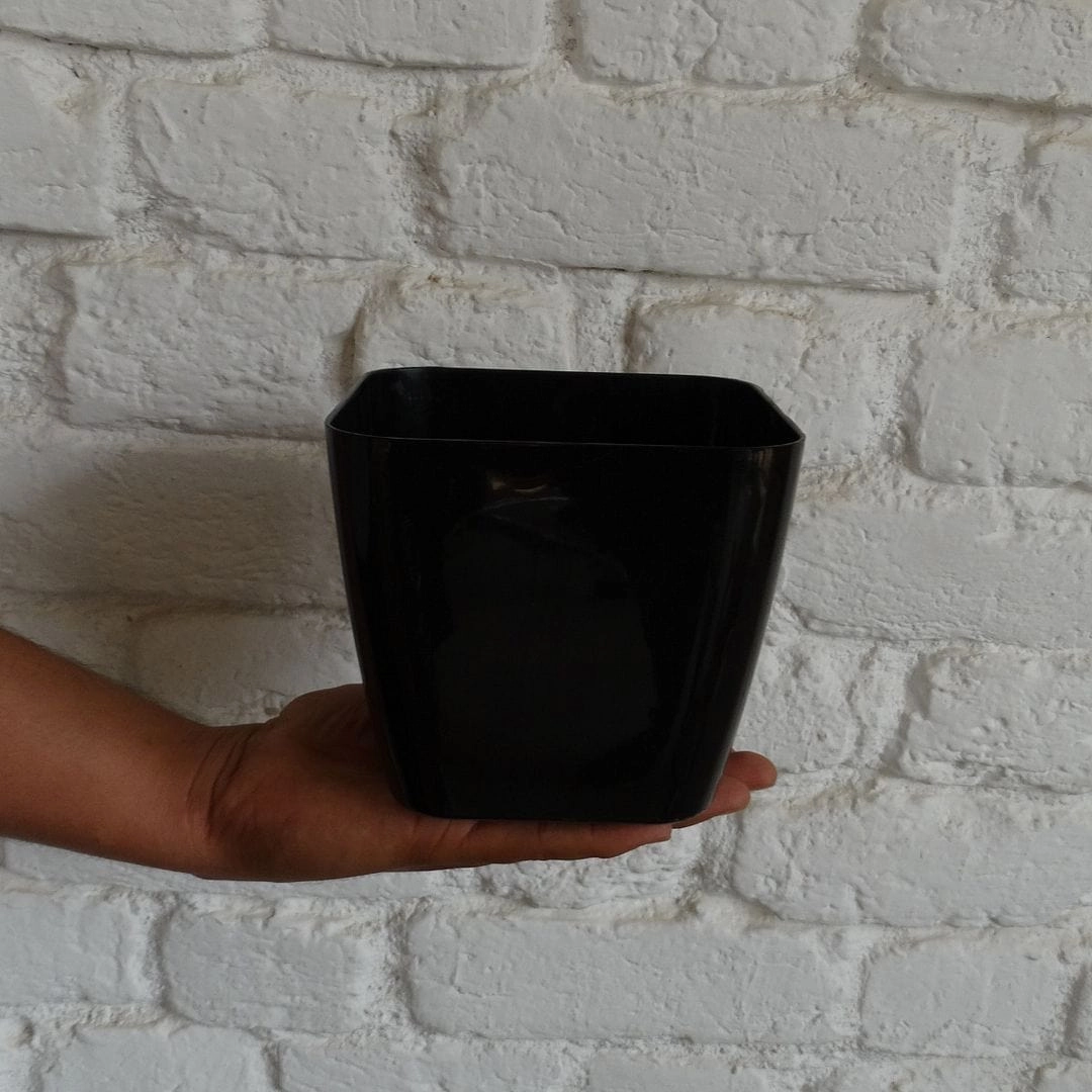 Plastic Siena Pot, Dia-5 Inch