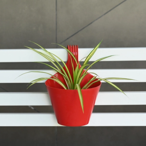 Plastic Single Hook Railing Pot- Set Of 3