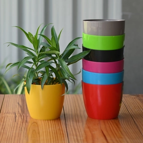 Plastic Valencia 11 Pot/ Planter For Plants- Set of 5 shade perennial  