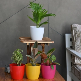 Plastic Valencia 14 Pot/ Planter- Set of 5 shade perennial  