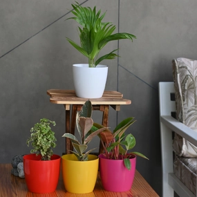 Plastic Valencia 14 Pot/ Planter- Set of 5 hanging green plant  
