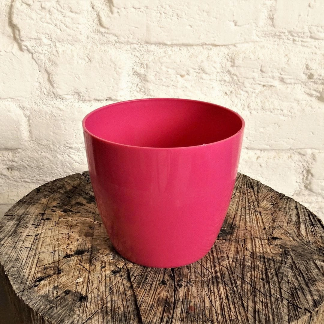 Plastic Valencia Plastic Pot, Dia- 5 Inch