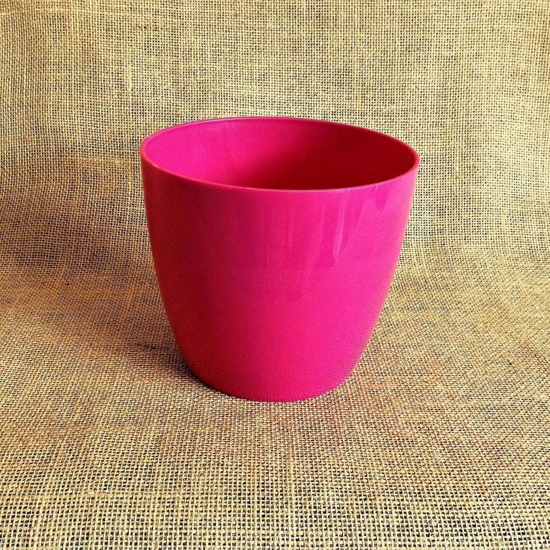 Plastic Valencia Plastic Pot, Dia- 5 Inch