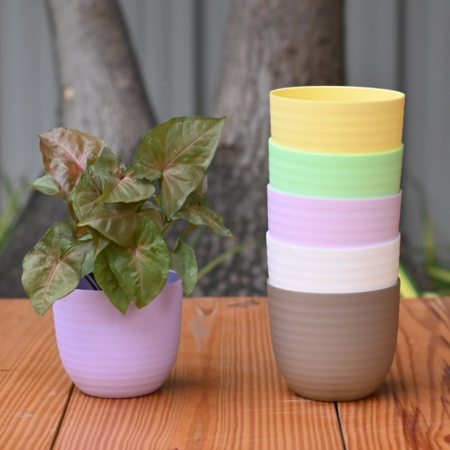 Plastic Verona 11 Pot/ Planter For Plants- Set of 5