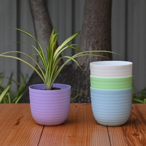 Plastic Verona 11 Pot/ Planter For Plants- Set of 5 shade perennial  