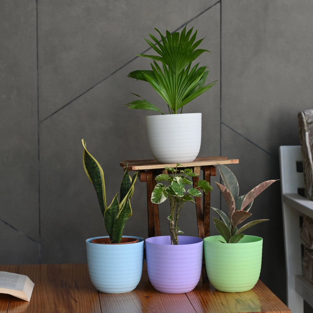 Plastic Verona 15 Pot/Planter shade perennial  